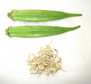 食材
