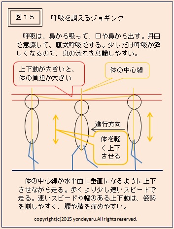 図１５